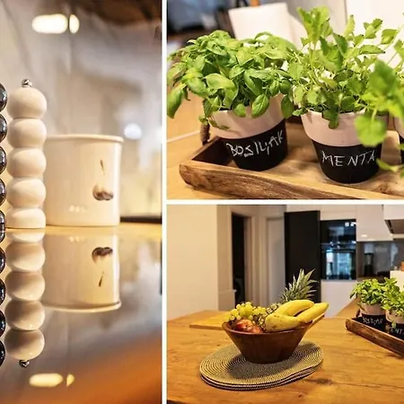 Oleandar アパート *